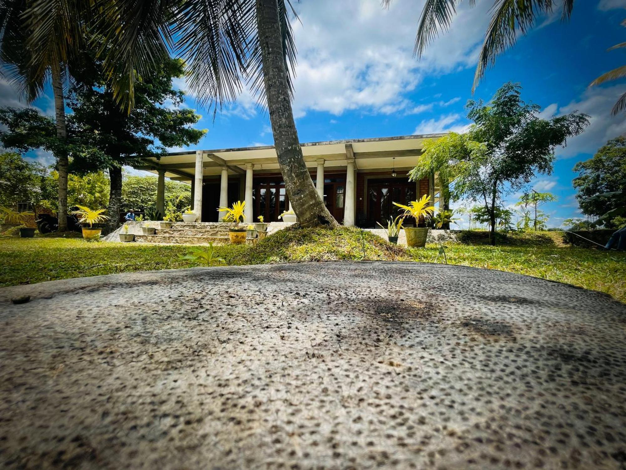 The Lotus Villa Сигирия Екстериор снимка